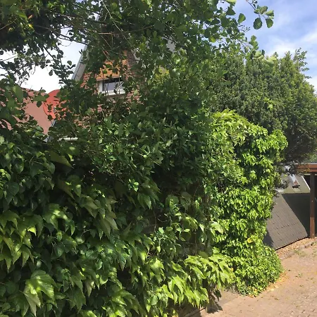 Am Feriehus Friedrichskoog-Spitze